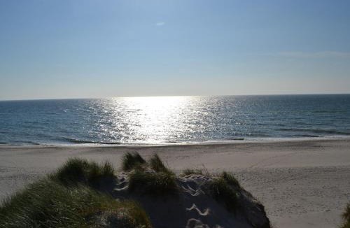 Sondervig Other | Søndervig Camping & Cottages