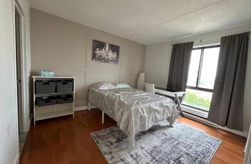 Stamford Apartment | S 1 Bedroom Downtown Stamford