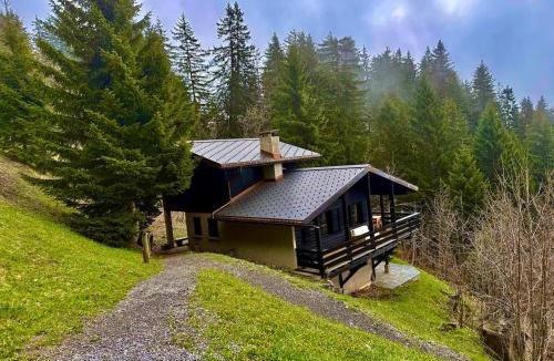 Gryon Ski Chalet | S 4 4 Chalet Familial 10pax
