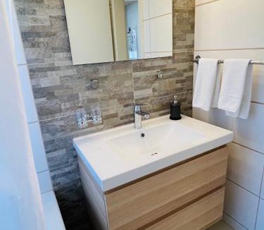 Wilderswil Apartment | S&P Mountain View Apartment 1