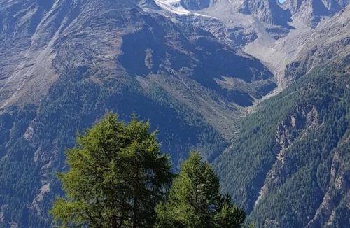 Saas Grund Apartment | Saasunia by Interhome