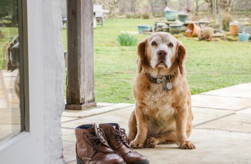 Harrop Fold House | Saetr Cottage