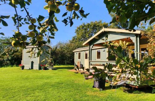 Saint Kew Other | Safari Cornwall