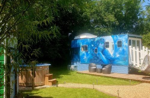 Saint Kew Other | Safari Cornwall