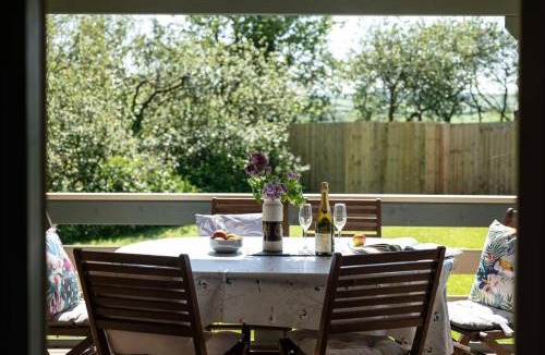 Saint Kew Other | Safari Cornwall