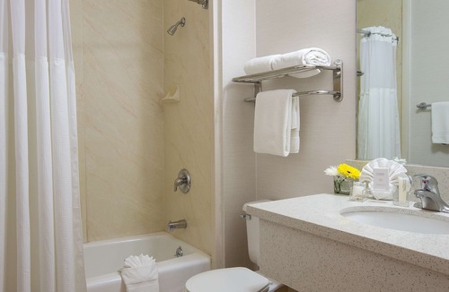 Burbank Hotel | Safari Inn Burbank/Universal, a Coast Hotel