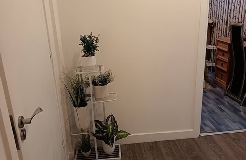 Broad Green House | Safe and clean comfortable room