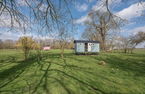 Framlingham Apartment | Sage Shepherds Hut at Boundary Farm, Framlingham