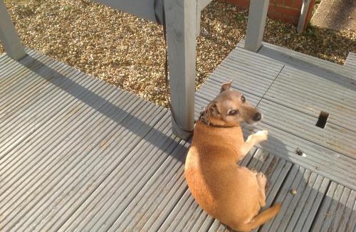 Ventnor Ski Chalet | Sail Away Holiday Villa