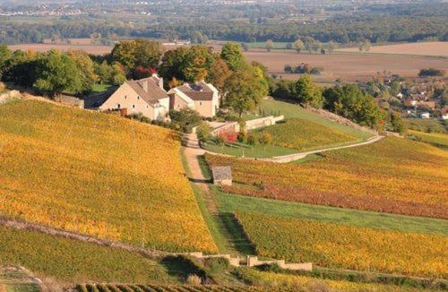 Chalon-sur-Saone Hotel | Saint Georges Hotel & Spa