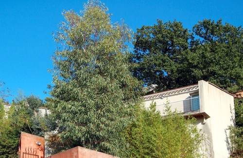 Hyeres City Centre House | Sainte Claire by Interhome