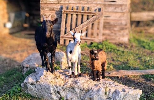 Centres House | Saisonnée - Gîtes, Chambres et Table d'Hôtes