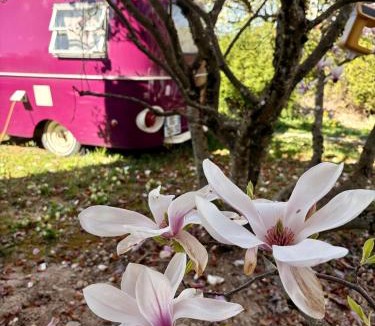 Archamps Other | Salève Glamping