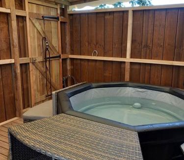 Rabastens Apartment | Saloon avec SPA privatif
