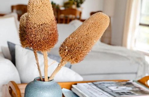 Peterborough House | Salt bush cottage Peterborough