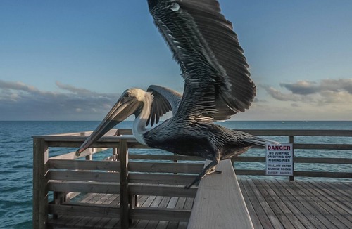 Key Colony Beach House | Salty Breezes Condo 2bed 2bath second floor with elevator, pool & ocean front!