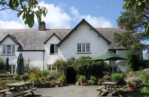 Bude Cottage | Salty Cottage