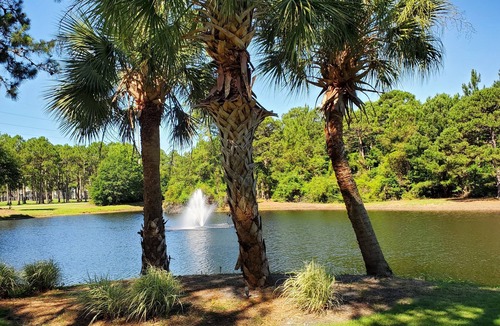 Sunset Beach Condo | Salty Livin & Golf Retreat. Your Relaxing, Stress Free Vacation Awaits You!