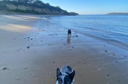 San Remo House | Salty Paws Dog Friendly Luxe Cottage