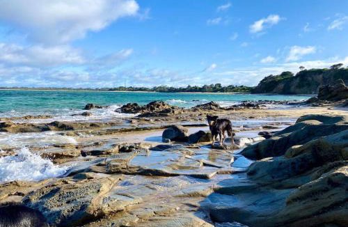 San Remo House | Salty Paws Dog Friendly Luxe Cottage