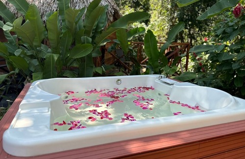 Samana Apartment | Samana Tropical