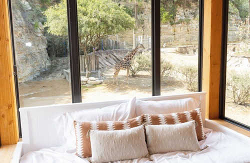 San Antonio Cabin | San Antonio Zoo - Spekboom Giraffe Lodge