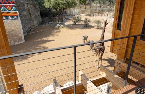 San Antonio Cabin | San Antonio Zoo - Spekboom Giraffe Lodge