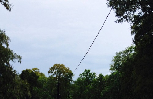 Needville Cabin | San Bernard River Cabin