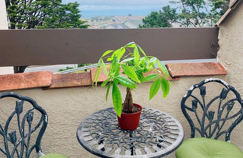 South San Francisco Apartment | San Francisco Bay View Entire Apt