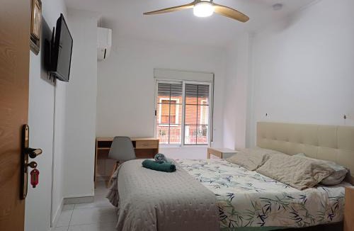 Algemesi Apartment | San Jose Luminoso