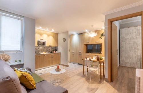 Basurtu Apartment | San Mames Termibus by Aston Rentals