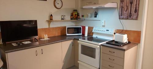 Tauranga Apartment | Sanctuary 4