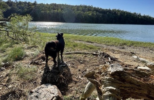 Harpswell RV Rental | Sanctuary Campsite with Secret Beach