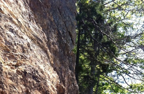 Harpswell RV Rental | Sanctuary Campsite with Secret Beach