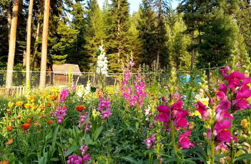 Alberton Cabin | Sanctuary Farm Log Cabin Mountain Getaway, Alberton, MT