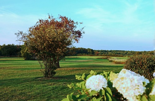 Pulaski House | Sanctuary Inn - a stylish country house