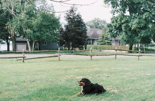 West Lake House | Sandbanks Escape (5 min drive) on Sheba’s Island | Pet-Friendly Cottage