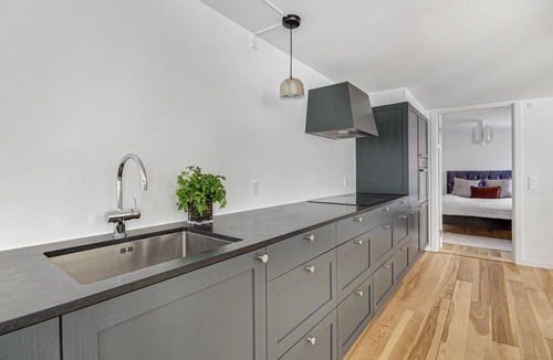 Copenhagen City Centre Apartment | Sanders Regent 5 - Large Apt with Terrace right in Centre of Copenhagen