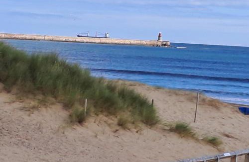 South Shields Ski Chalet | Sandhaven Beach Chalets