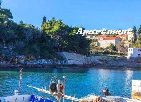 Kolocep Island Apartment | Sandy Beach Apartments