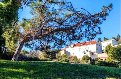 Kolocep Island Apartment | Sandy Beach Apartments