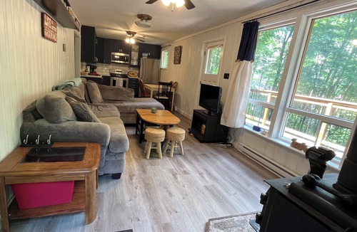 Dysart et al Cottage | 🌊 Sandy Beach on Beautiful Miskwabi Lake | Dock - BBQ - Firepit