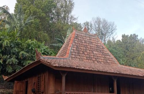 Kubutambahan Cabin | Sang Natha Lodge - Kopi Tiam & Agro