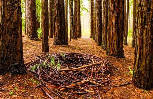 Millgrove House | Sanka Retreat B&B