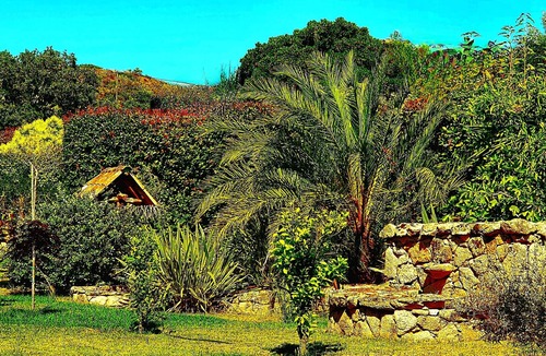 Santa Giulia House | SANTA-GIULIA & CHARMING VILLA & PRIVATE POOL