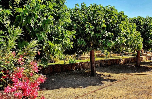 Santa Giulia House | SANTA-GIULIA & CHARMING VILLA & PRIVATE POOL