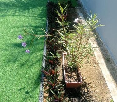 Kampung Menteri Road House | Santai DPermai Homestay