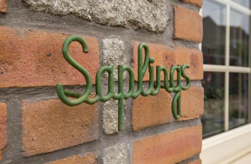 Wells House | Saplings