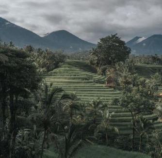 Penebel House | Saridevi Ecolodge