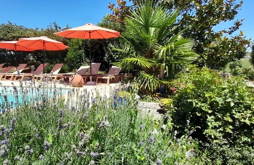 Julienas Hotel | SAS HOTEL DES VIGNES